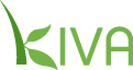 Kivaで初マイクロクレジット