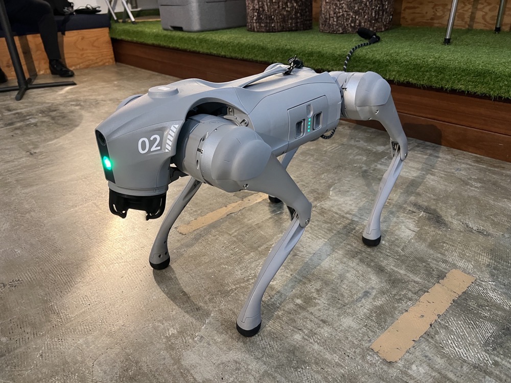 578793955 25084358351186029 4791601317467849771 n