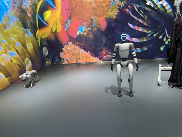 IMG_9100.jpeg IMG 9100